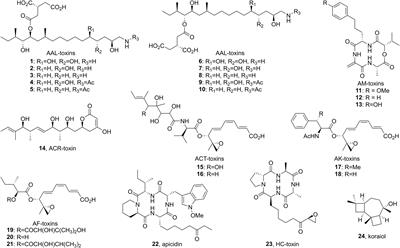 Accessory Chromosome-Acquired Secondary Metabolism in Plant Pathogenic Fungi: The Evolution of Biotrophs Into Host-Specific Pathogens